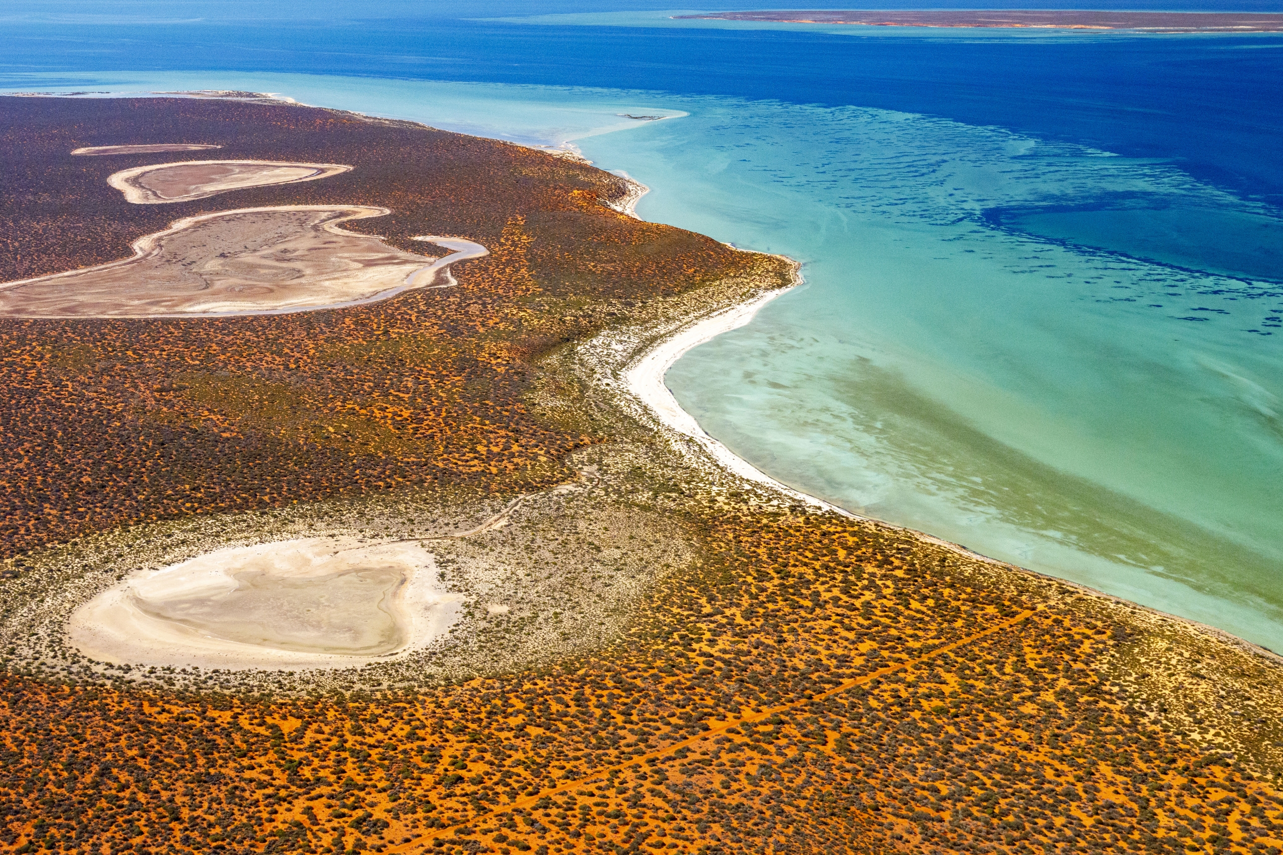Aerial photo of Shark Bay showing land and sea (Photo credit: Nick Thake)