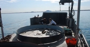 A garden ring for the sediment and seagrass sprigs is assembled on the barge.