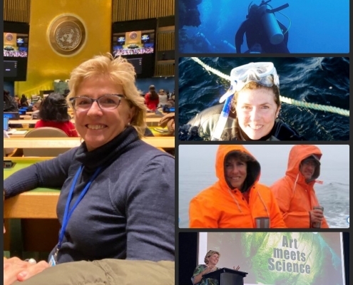 Montage of photos of Dr Jenny Shaw