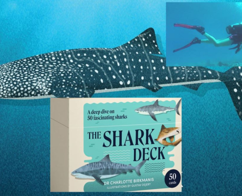 Montage of images including Shark Deck box, whale shark card and photo of Charlotte Birkmanis scuba diving.