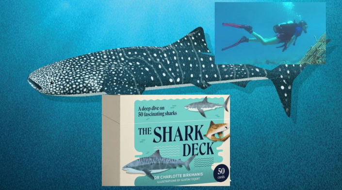 Montage of images including Shark Deck box, whale shark card and photo of Charlotte Birkmanis scuba diving.