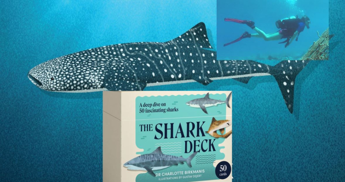 Montage of images including Shark Deck box, whale shark card and photo of Charlotte Birkmanis scuba diving.