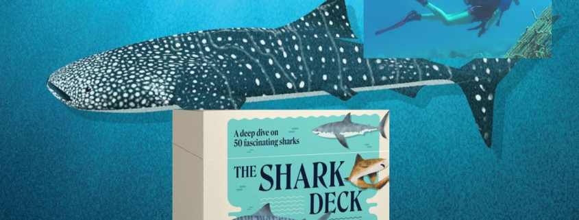 Montage of images including Shark Deck box, whale shark card and photo of Charlotte Birkmanis scuba diving.