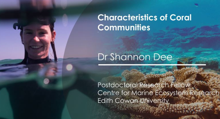 Dr Shannon Dee