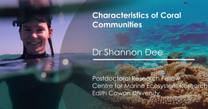 Dr Shannon Dee