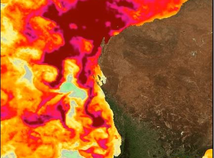 Map identifying marine heatwave in northern Western Australia.