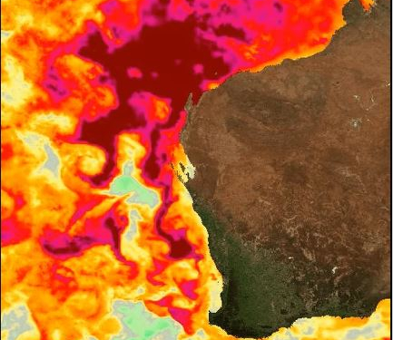 Map identifying marine heatwave in northern Western Australia.