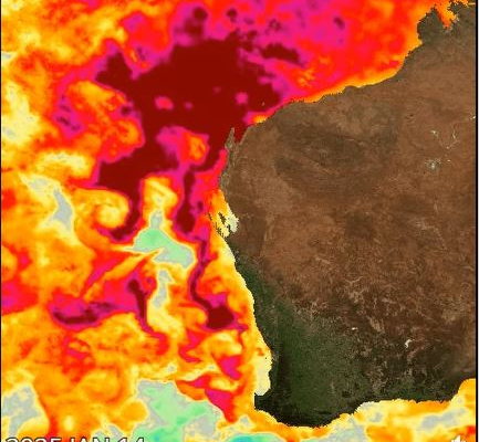 Map identifying marine heatwave in northern Western Australia.