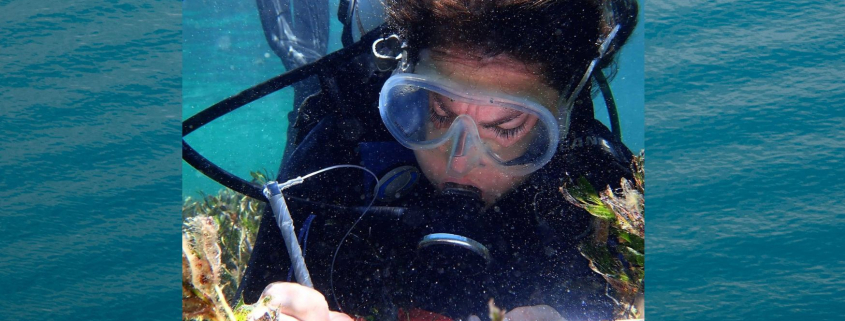 Alicia Sutton at work underwater with notepad (with background image)